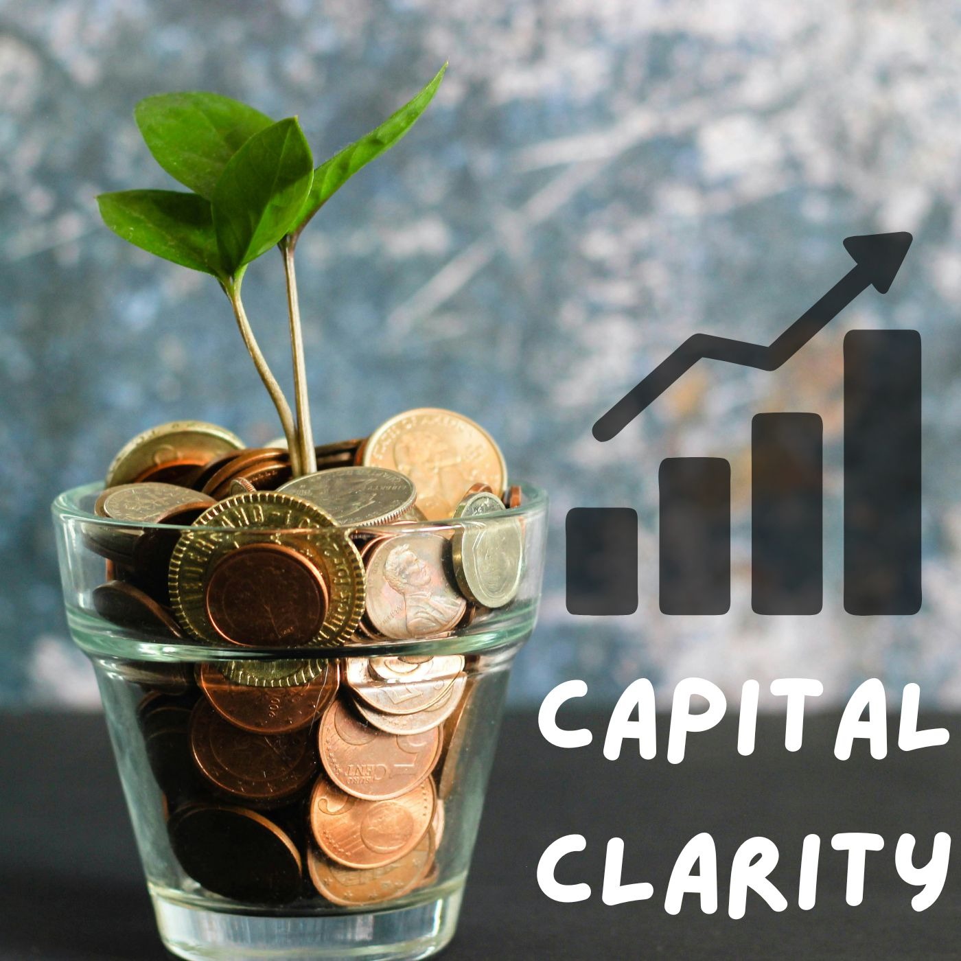Capital Clarity
