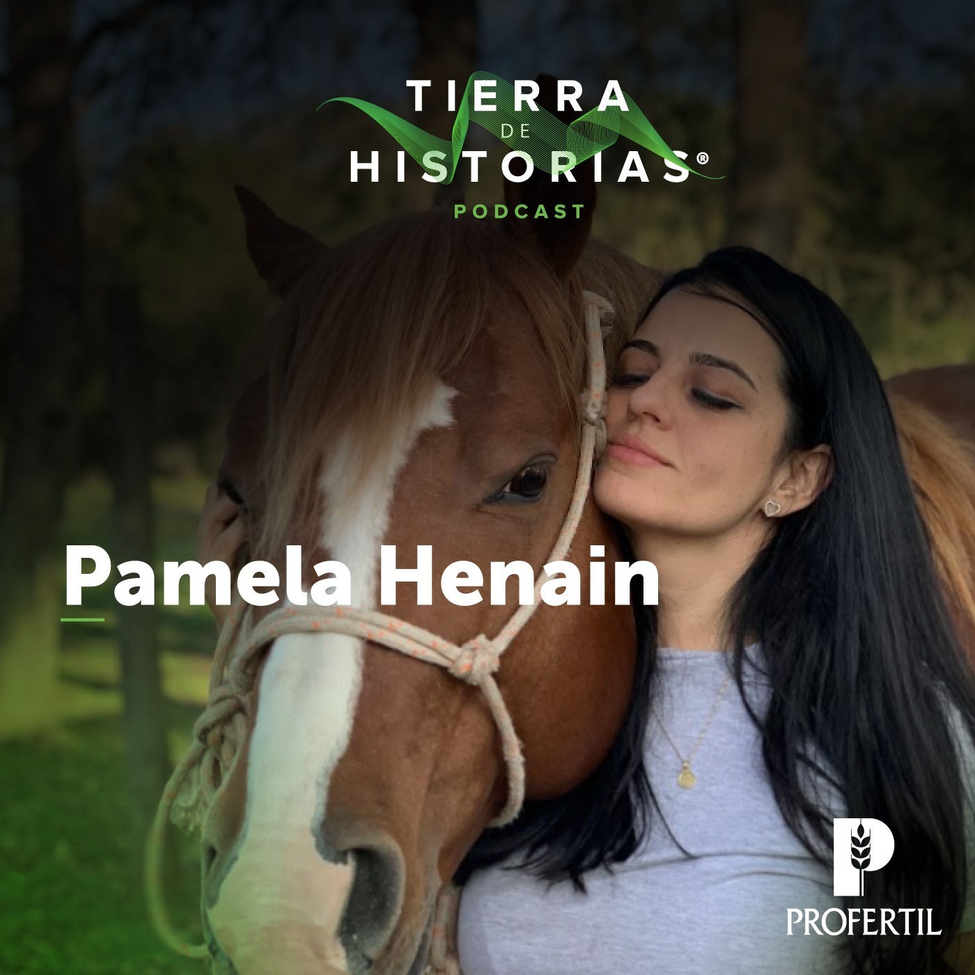Tierra de Historias
