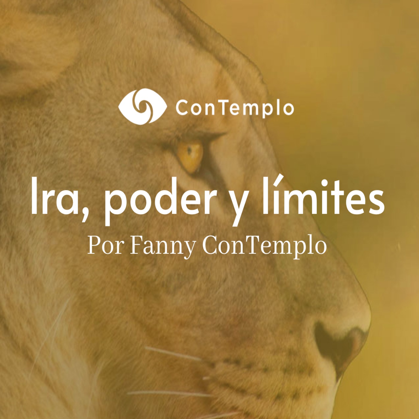 IRA P Y LIMITE podcast artwork