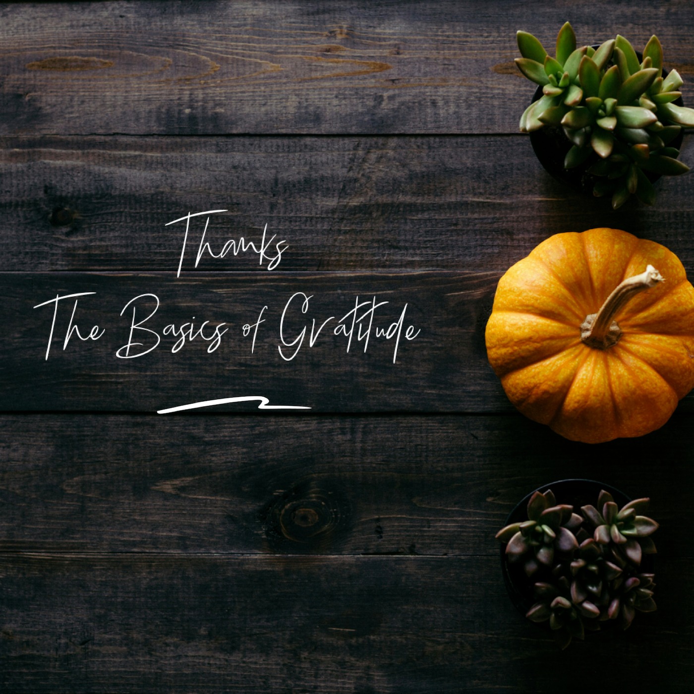 Thanks: The Basics of Gratitude, pt. 2 - Thanks for Nothing episode artwork
