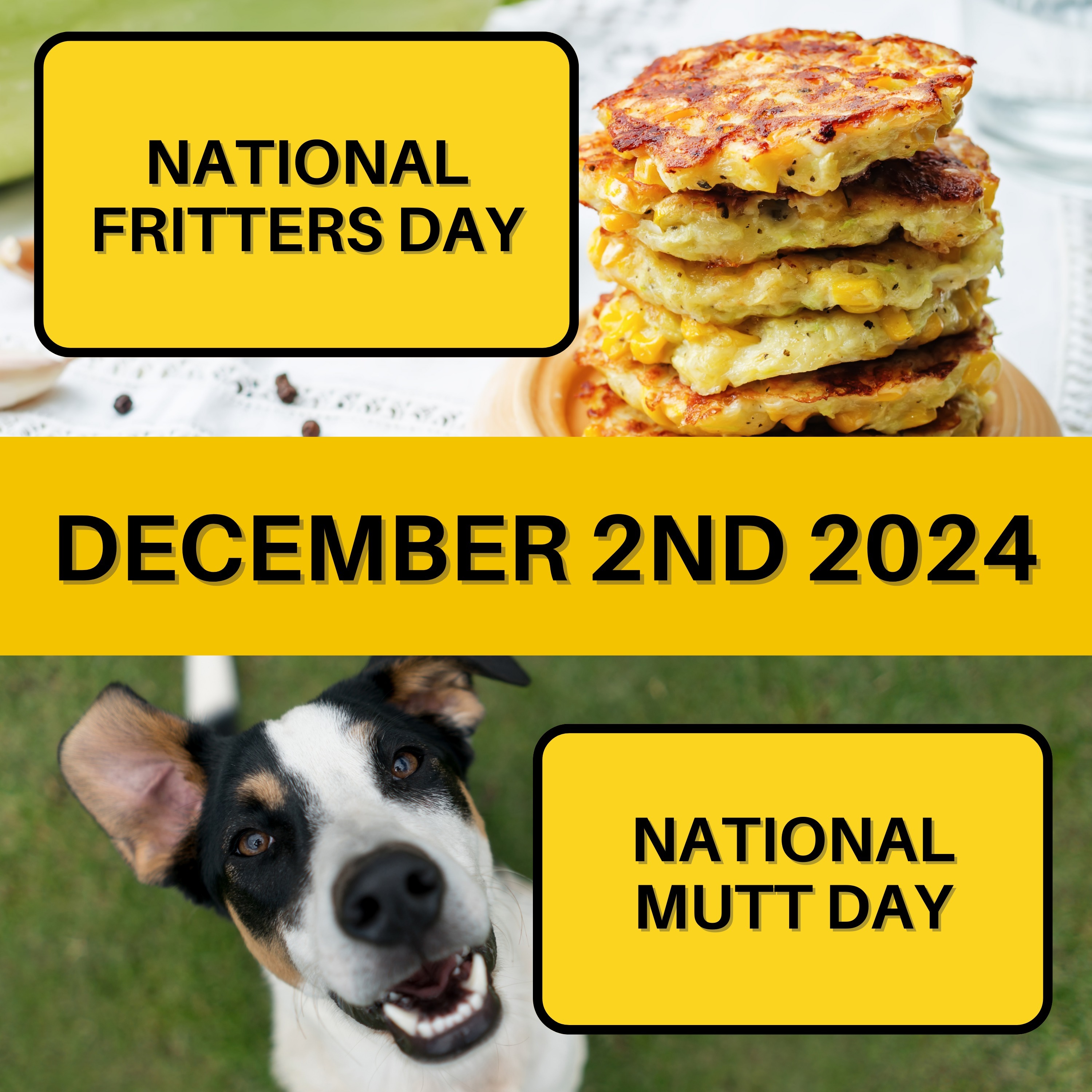 National Fritters Day and National Mutt Day
