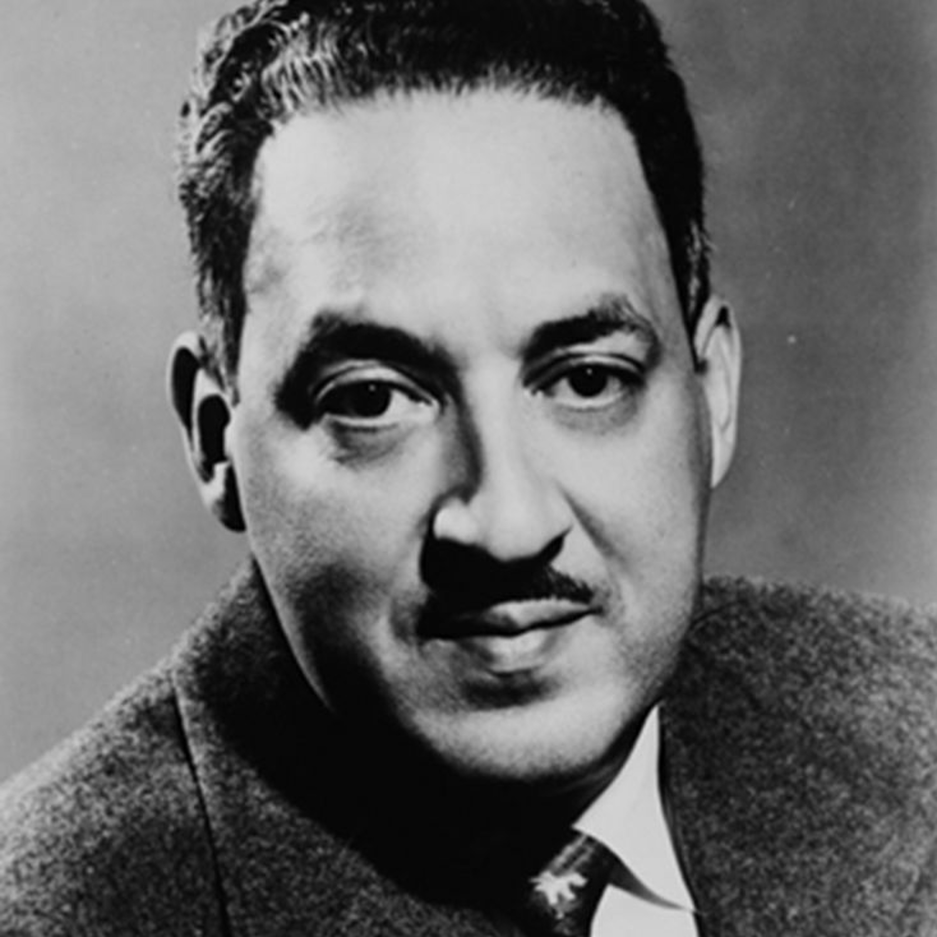 Thurgood Marshall: A Life in American History episode artwork