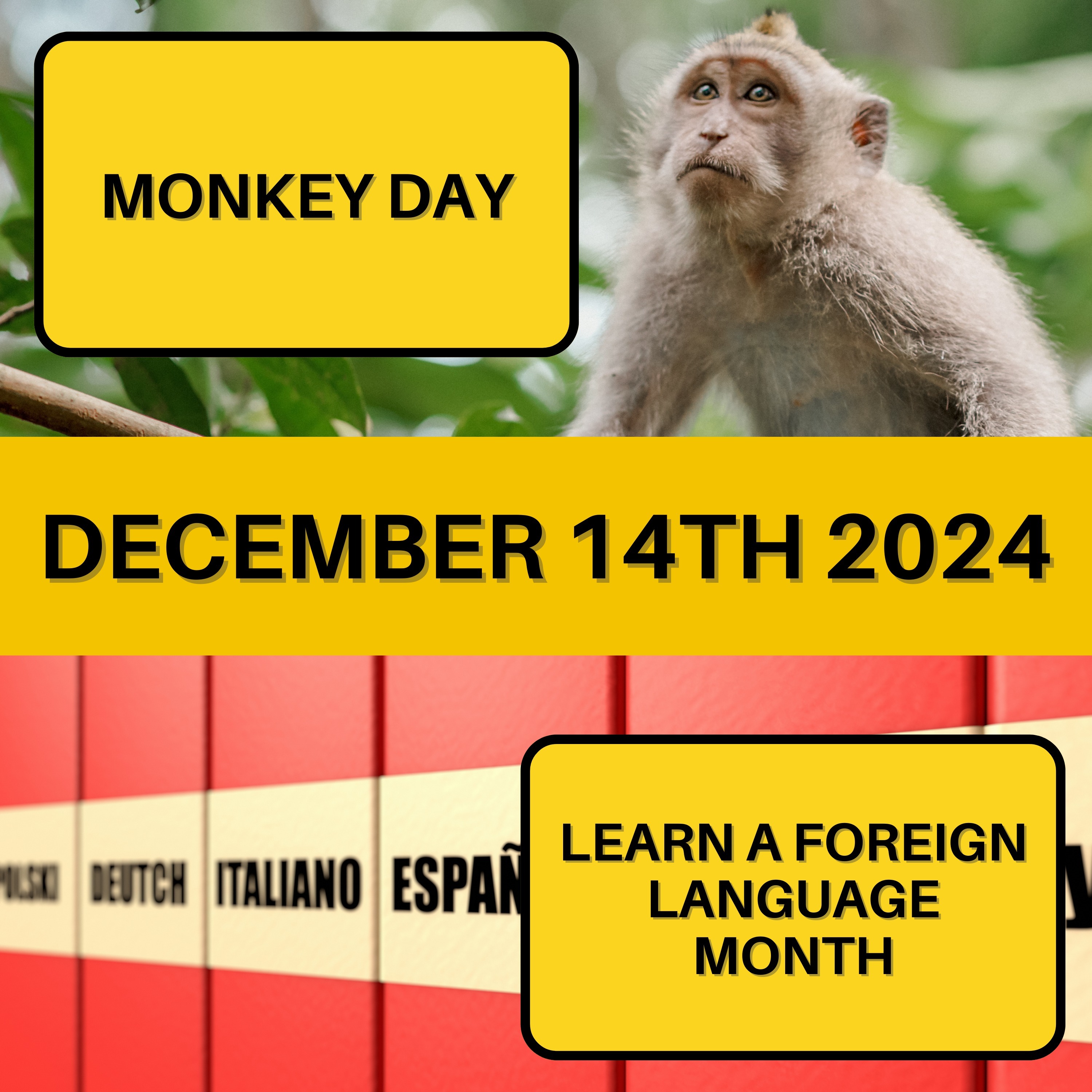 Monkey Day & Learn a Foreign Language Month