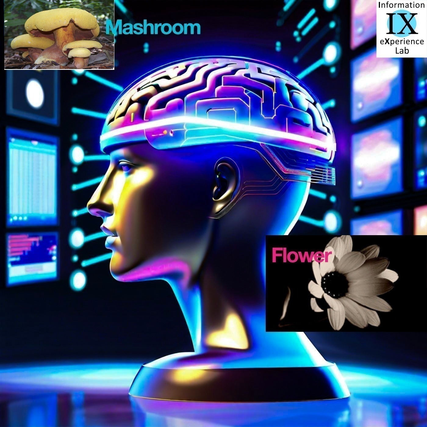 IX Lab Research