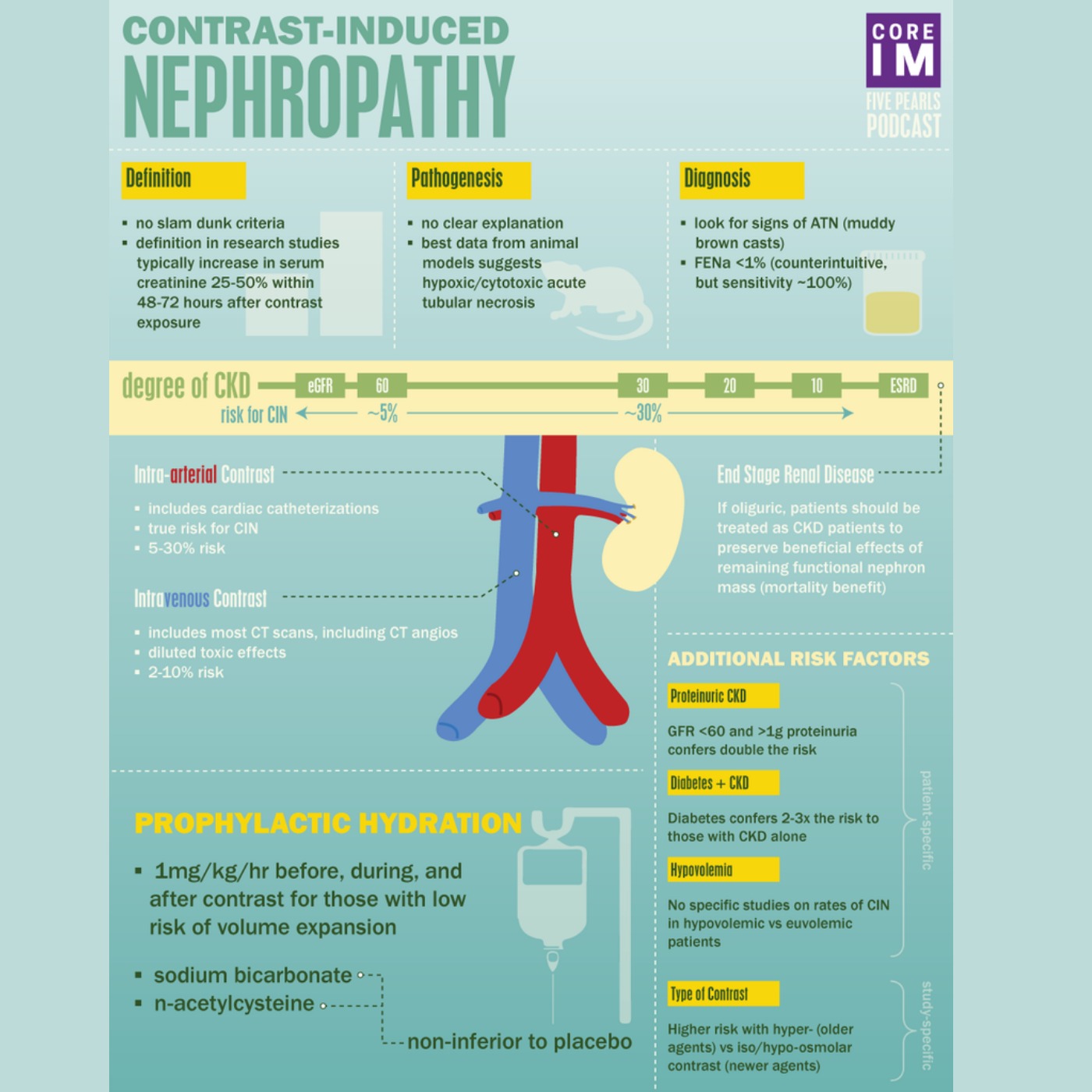#15 Contrast-Induced Nephropathy: 5 Pearls segment