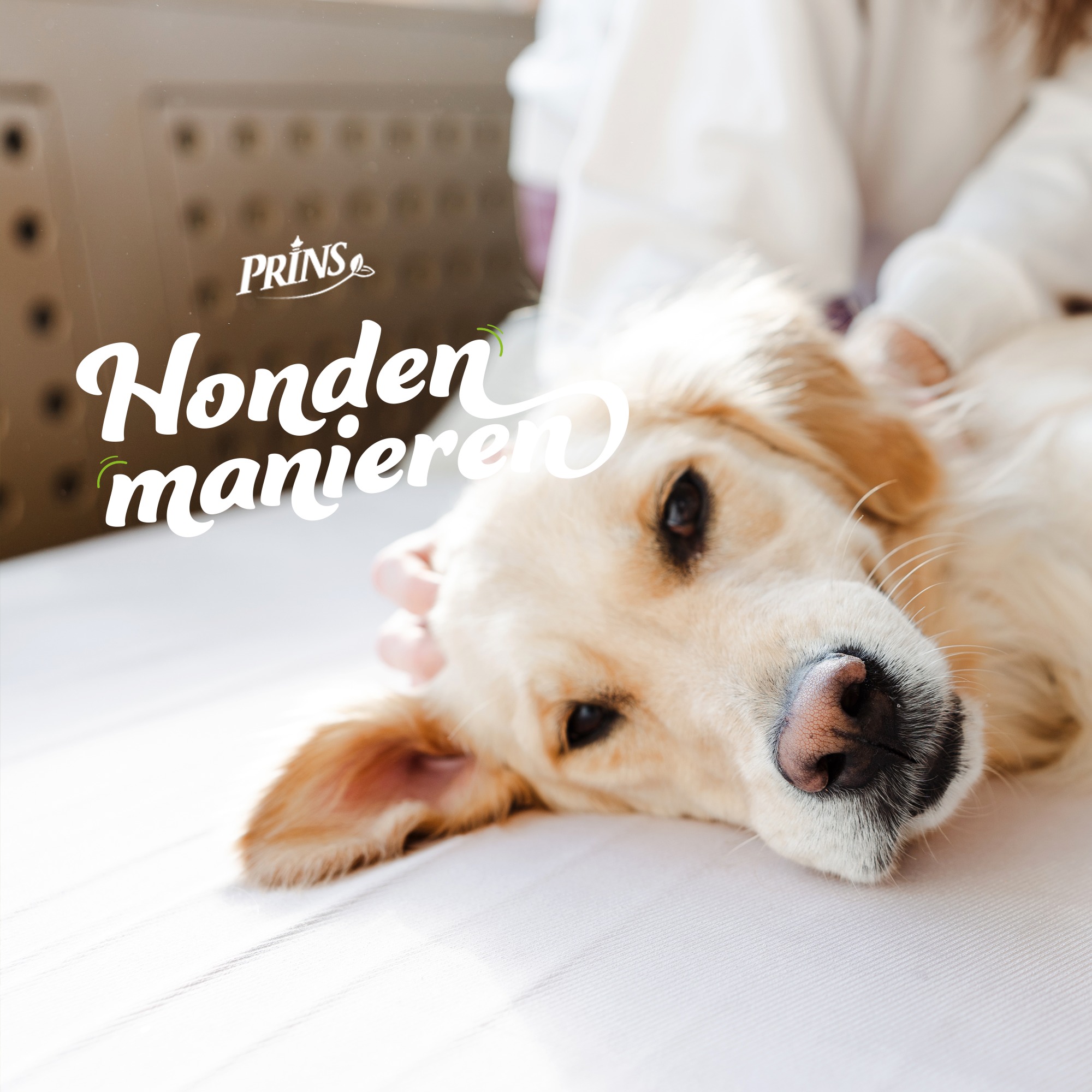Afl. 15: Moet jouw hond naar de hondenosteopaat? episode artwork