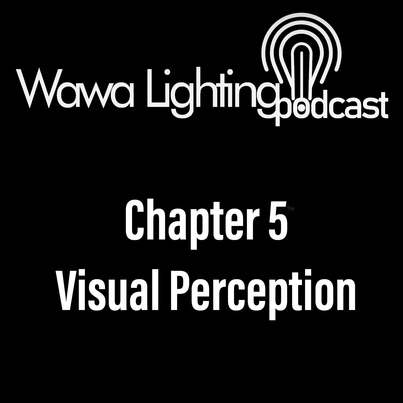 Chapter 5: Visual Perception
