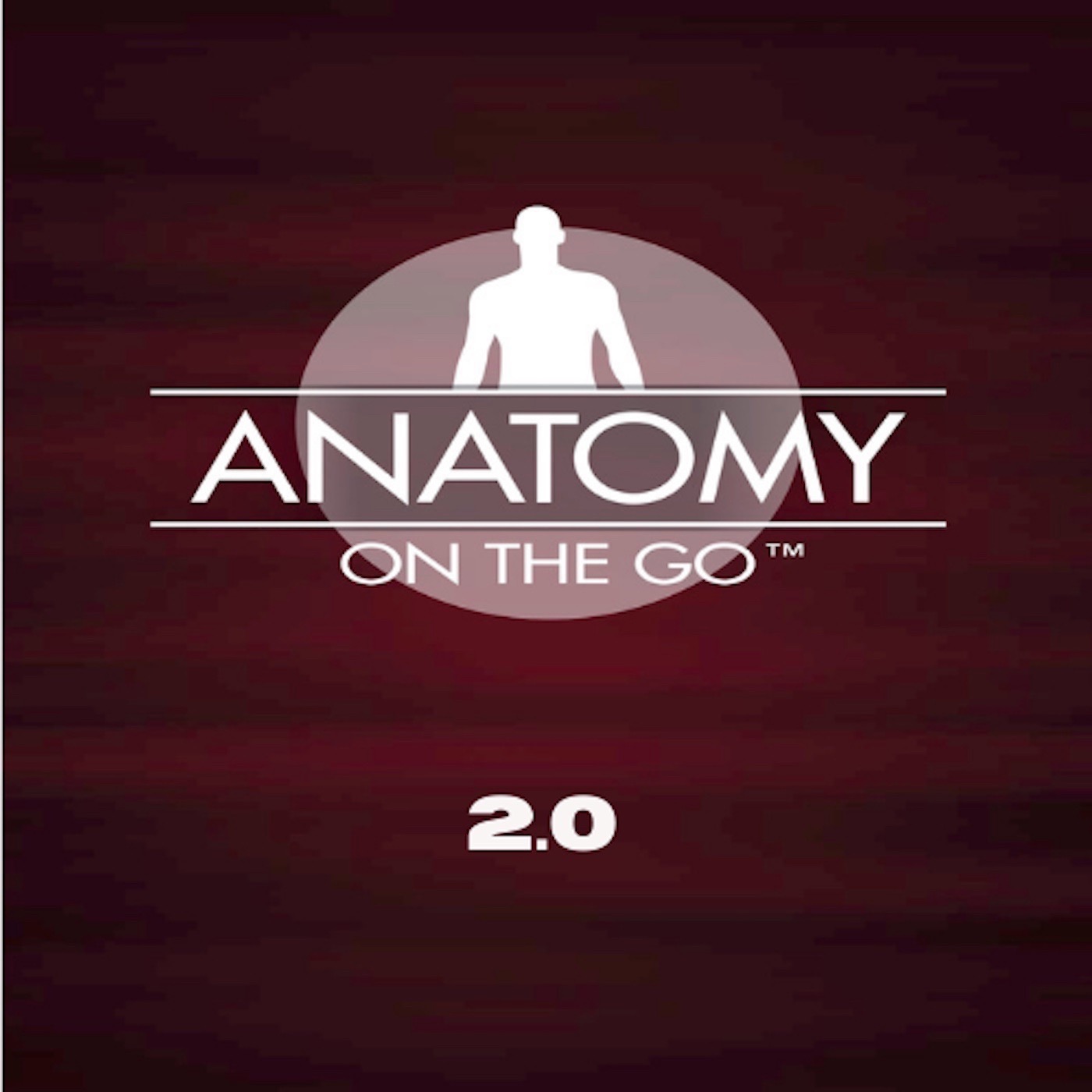 Episode 53: The Fascinating Cranial Nerves