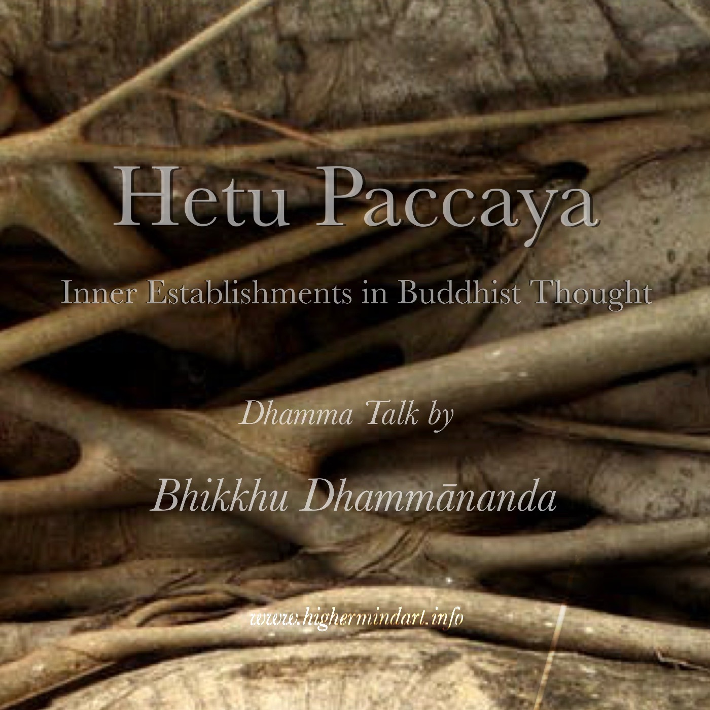 Hetu Paccaya - Inner Establishments (or Roots) in Buddhist Thought