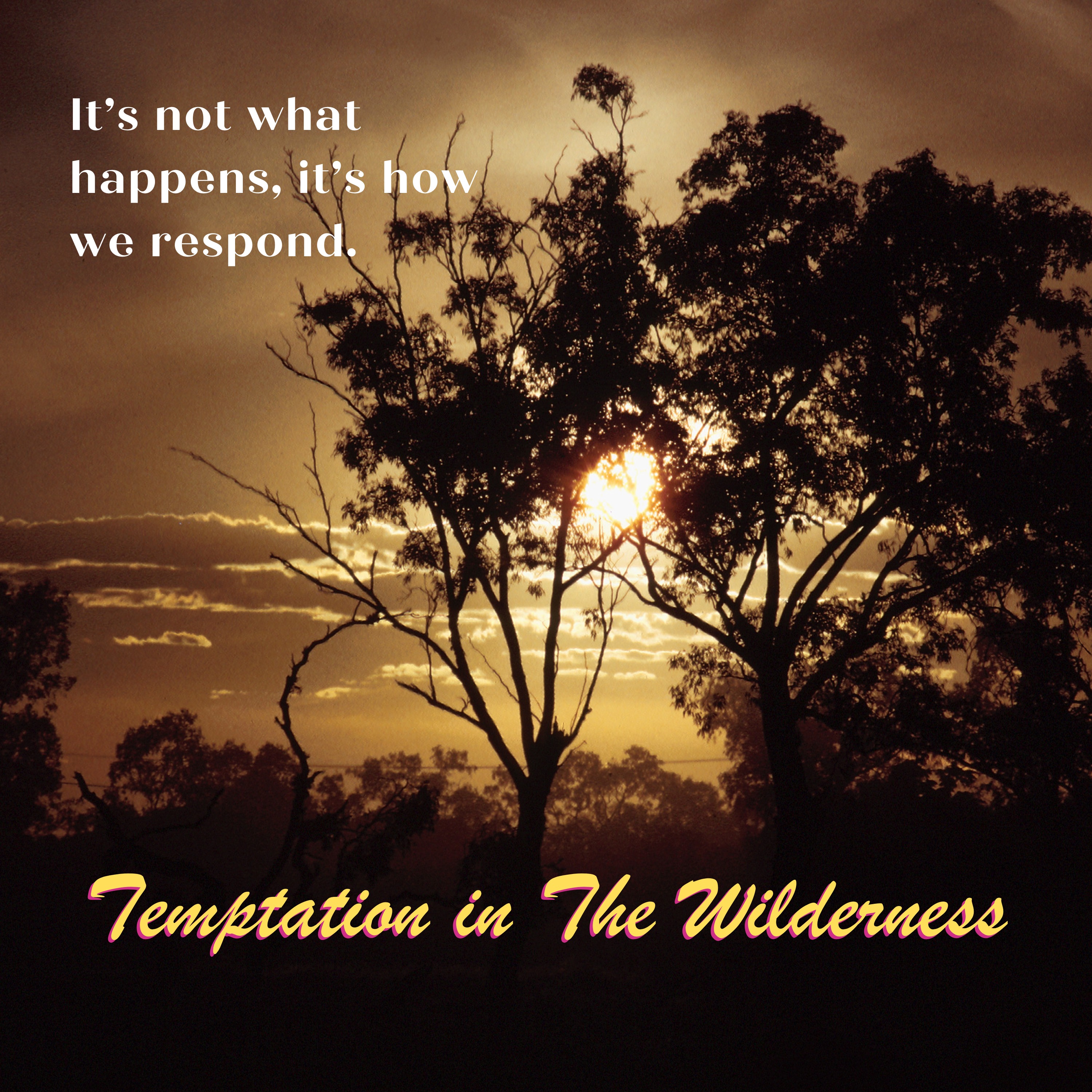 Temptation in The Wilderness-