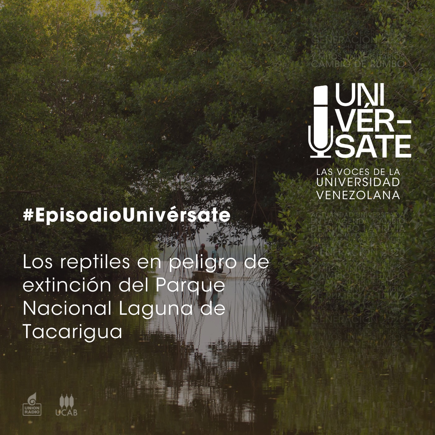 Episodio 216: Los reptiles en peligro de extinción del Parque Nacional Laguna de Tacarigua