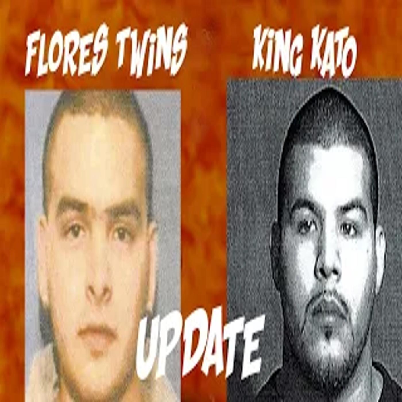 Flores Twins Kato Update part 1 | Damien Cash episode artwork