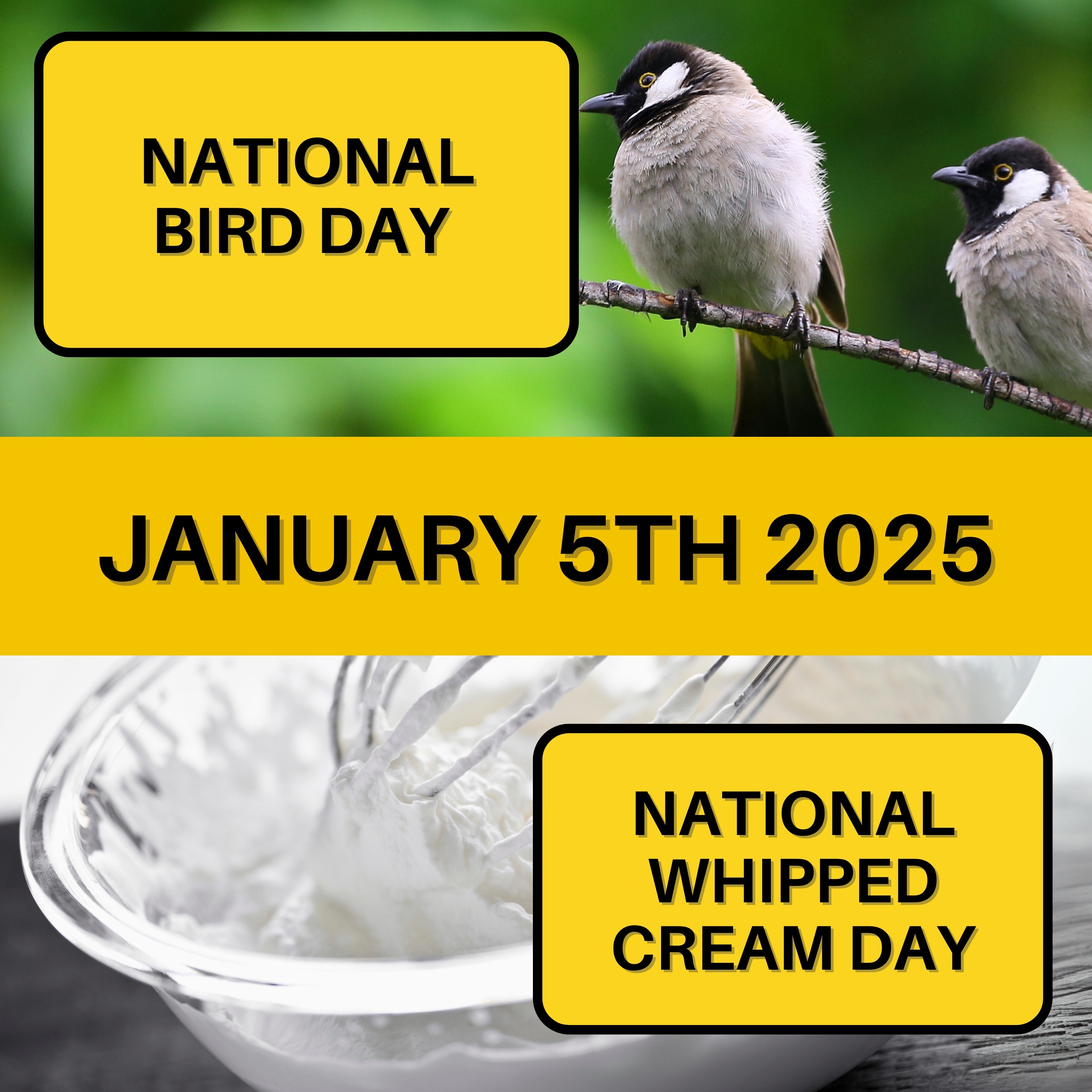 National Bird Day & National Whipped Cream Day