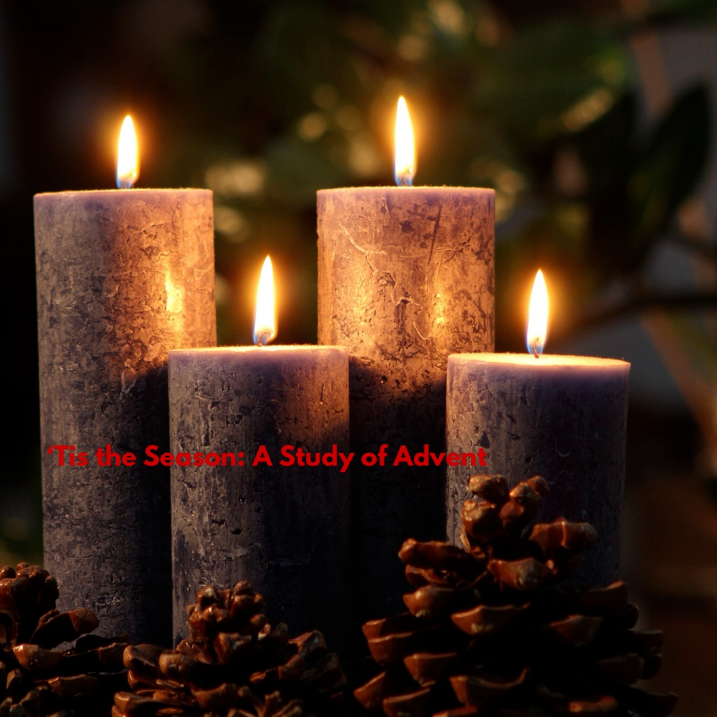 ‘Tis the Season: A Study of Advent, pt. 2 - Peace episode artwork