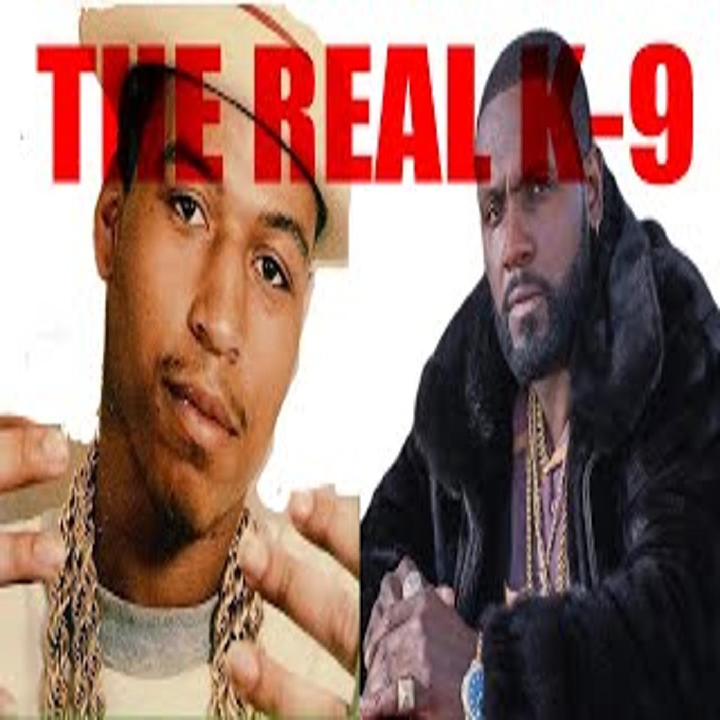 Exclusive: Newell Brothers Detroit Expose the Hidden World of BMF K9! episode artwork