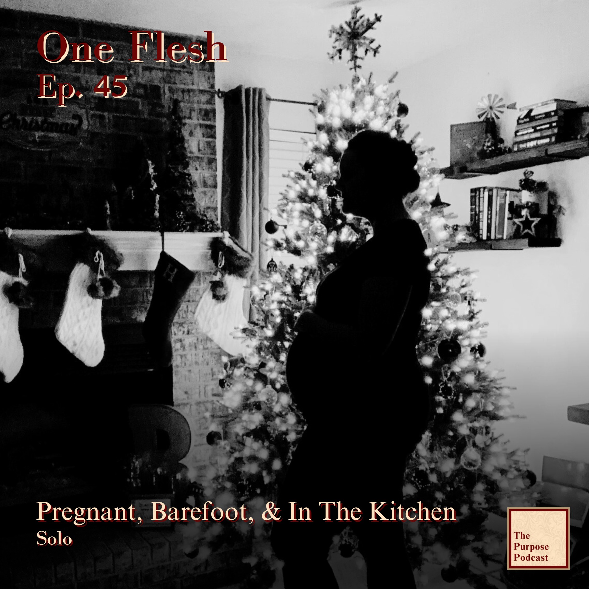 One Flesh Ep. 45 - Pregnant, Barefoot, & In The Kitchen | Solo episode artwork