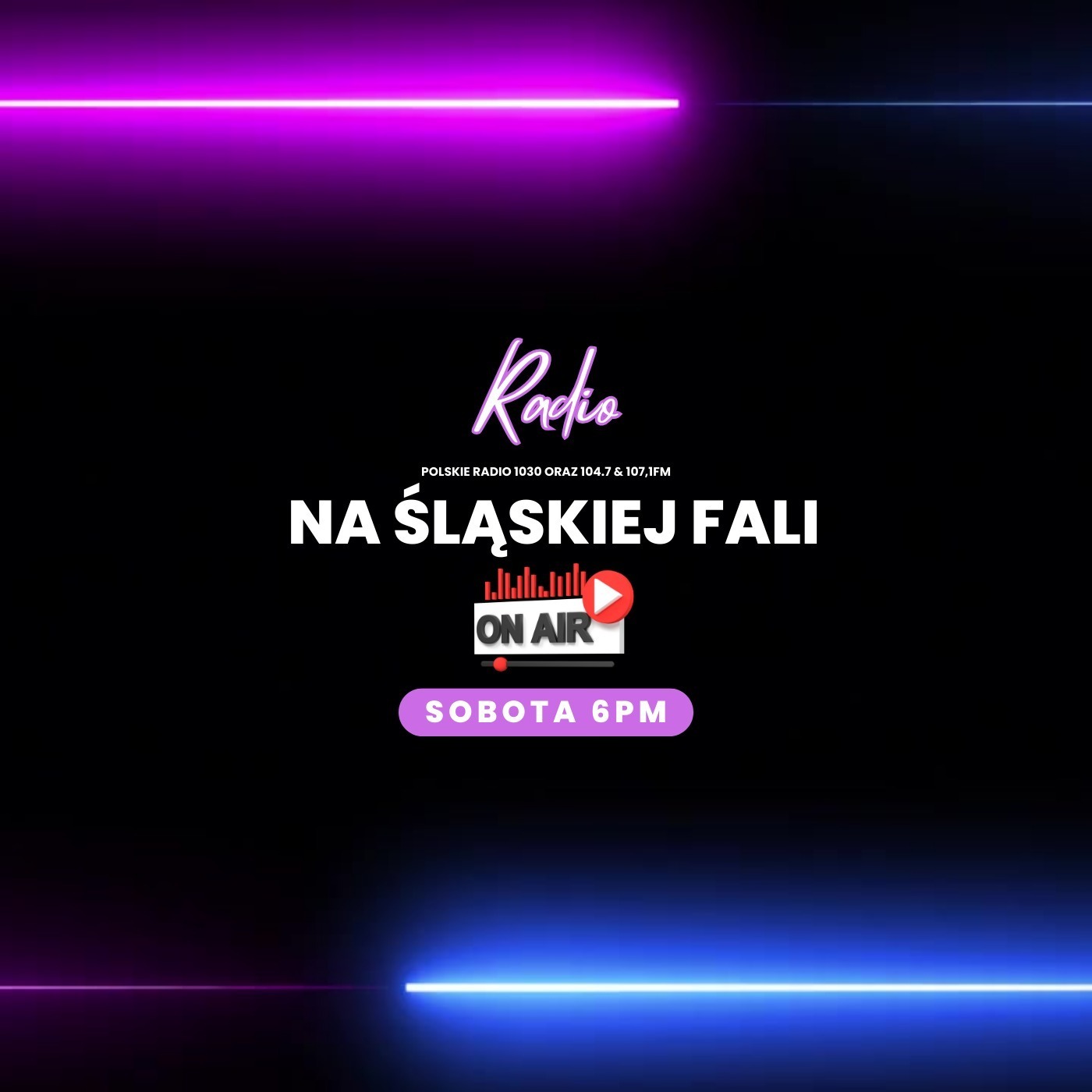 Radio Na Śląskiej Fali Chicago