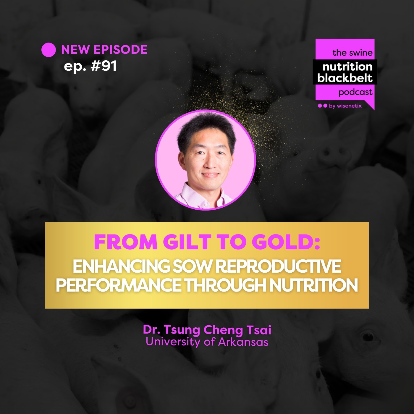 The Swine Nutrition Blackbelt Podcast