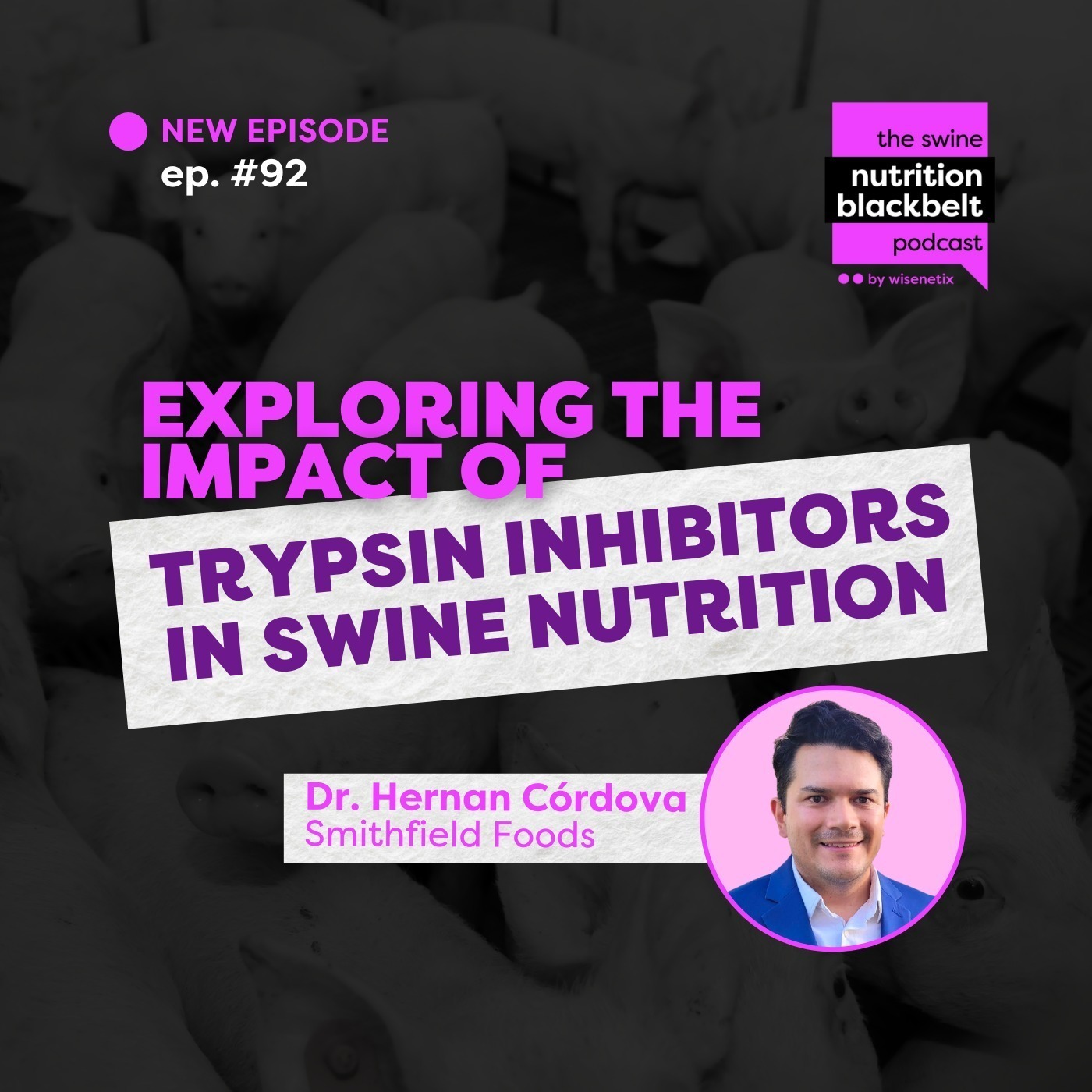 Dr. Hernan Córdova: Trypsin Inhibitors in Swine | Ep. 92