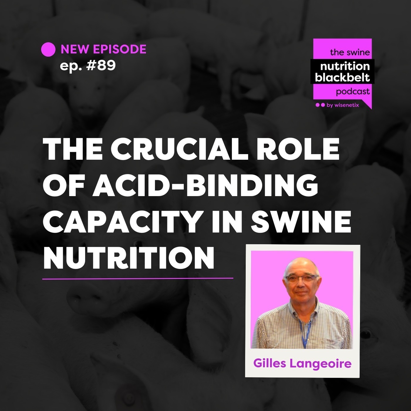Gilles Langeoire: Acid-Binding in Swine Nutrition | Ep. 89