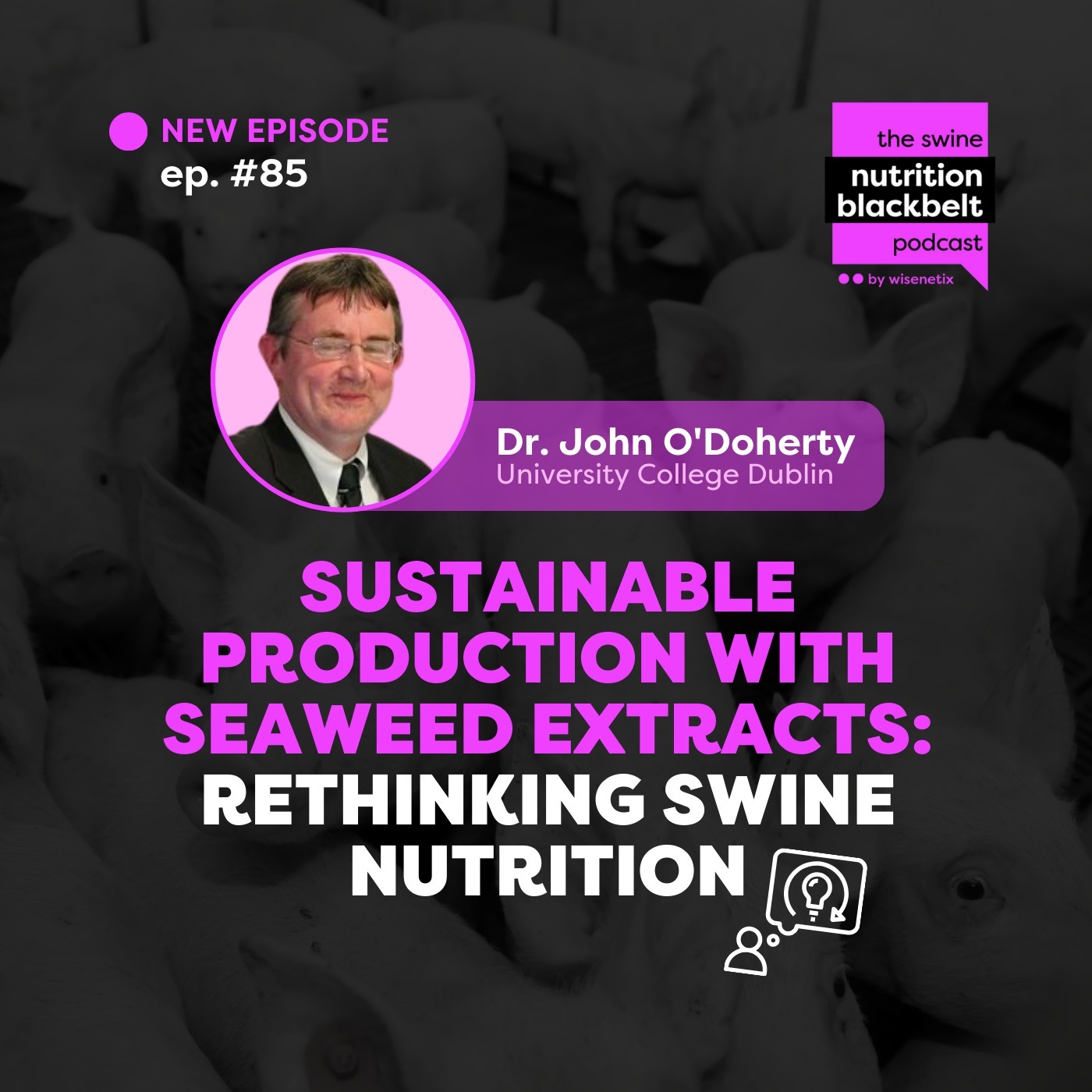 Dr. John O'Doherty: Seaweed Extracts in Swine Nutrition | Ep. 85