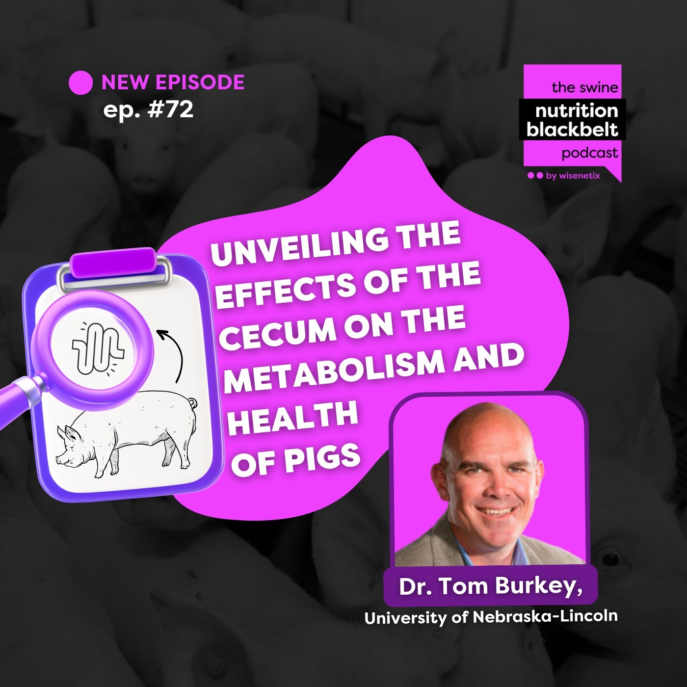 The Swine Nutrition Blackbelt Podcast