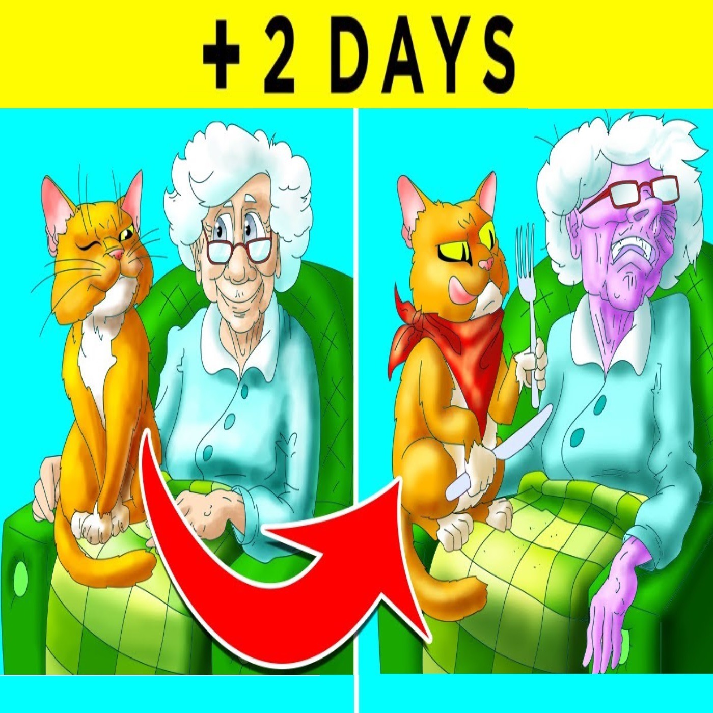 If You Die Alone, Your Cat Will Eat You - Fact Show