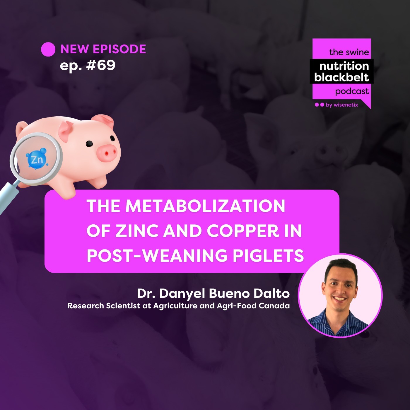Dr. Danyel Bueno Dalto: Zinc and Copper Metabolization | Ep. 69