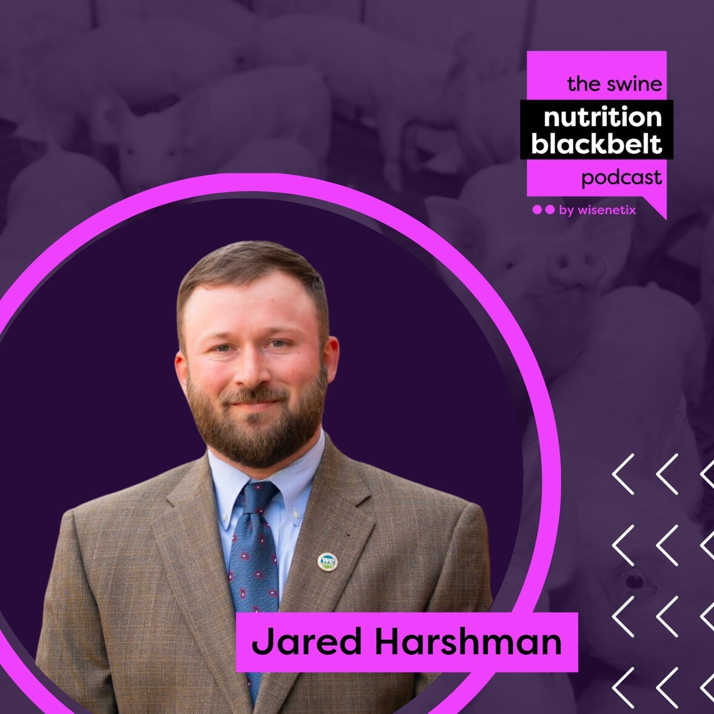 Jared Harshman: Sow Prolapse Causes Part 1 | Ep. 59