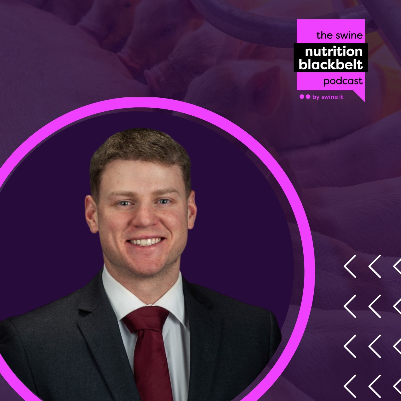 AJ Warner: Copper and Ionophores in Pigs | Ep. 36