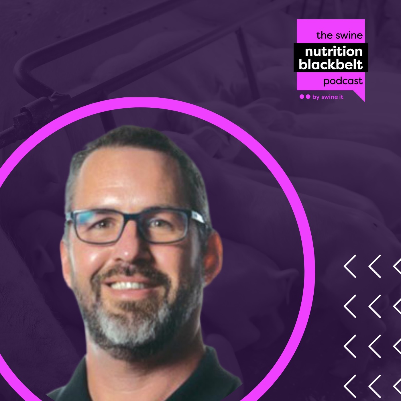 Dan Bussières: Polyphenols in Piglets | Ep. 32