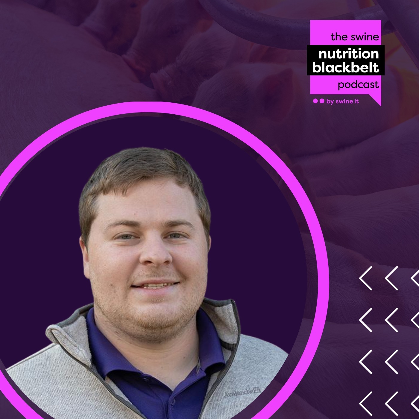 The Swine Nutrition Blackbelt Podcast