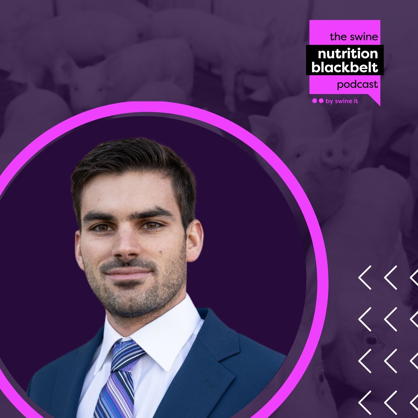 The Swine Nutrition Blackbelt Podcast