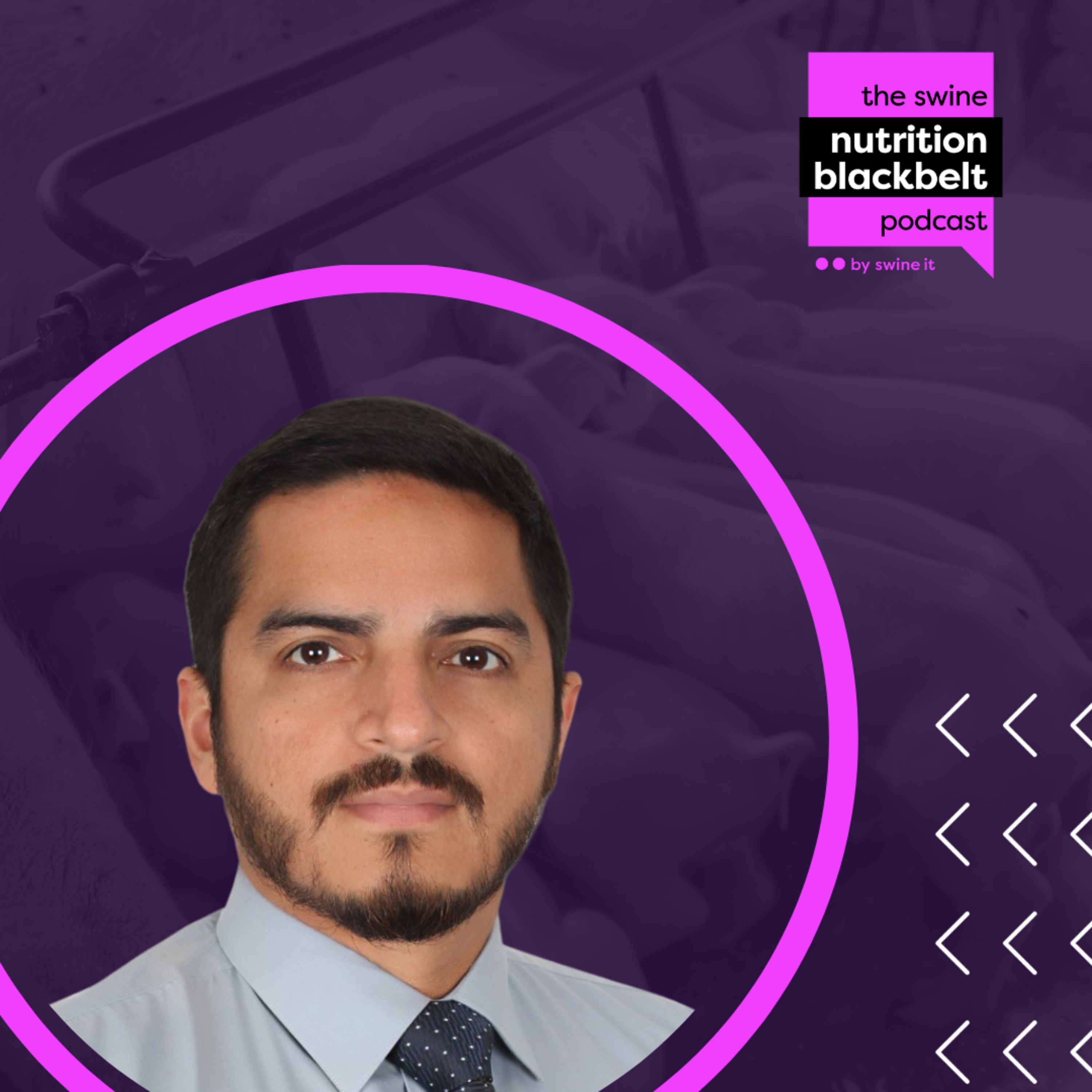 Christian Ramirez: Amino Acid Modeling in Sows | Ep. 22