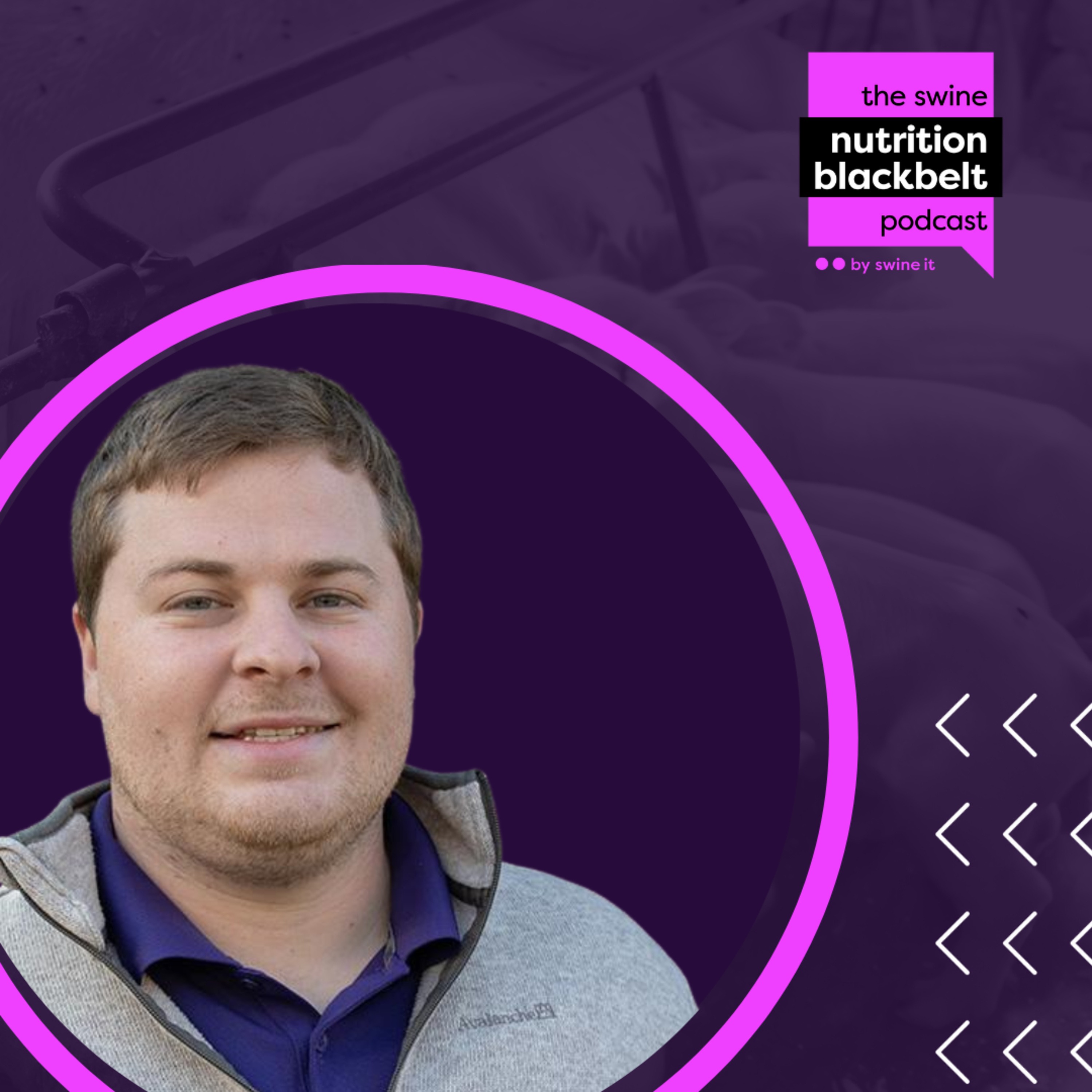 The Swine Nutrition Blackbelt Podcast