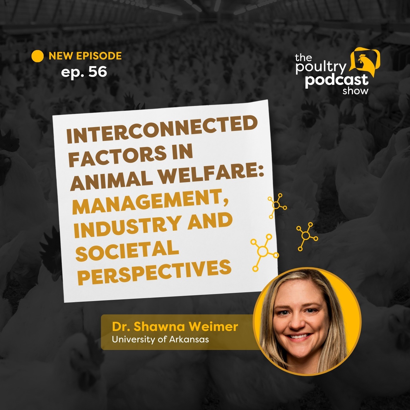 Dr. Shawna Weimer: Animal Welfare Perspectives | Ep. 56
