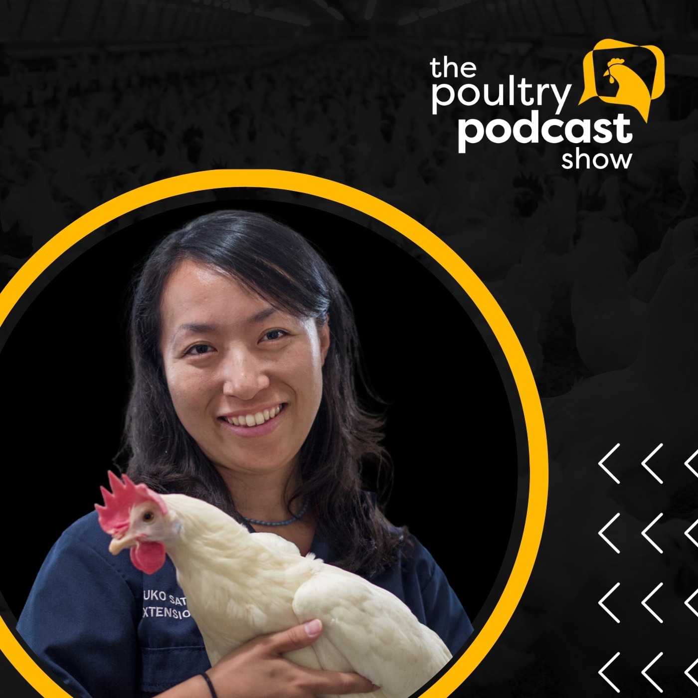 The Poultry Podcast Show
