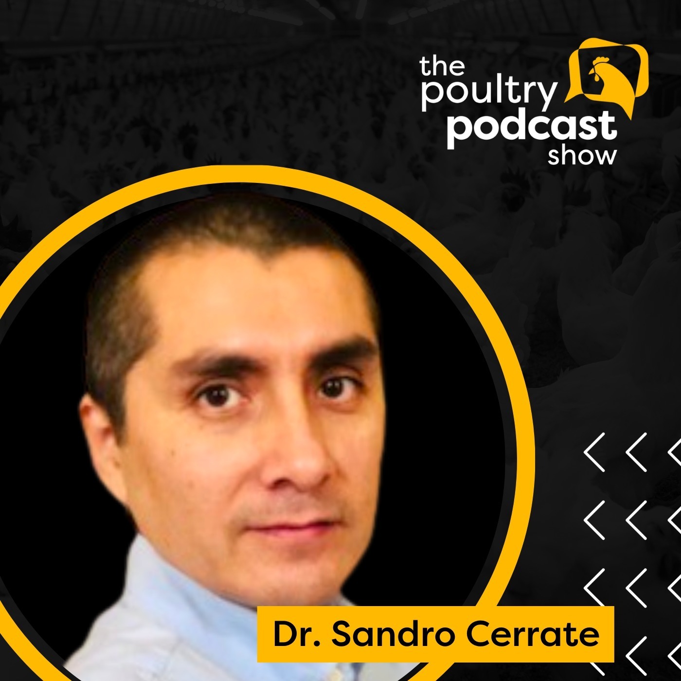 The Poultry Podcast Show