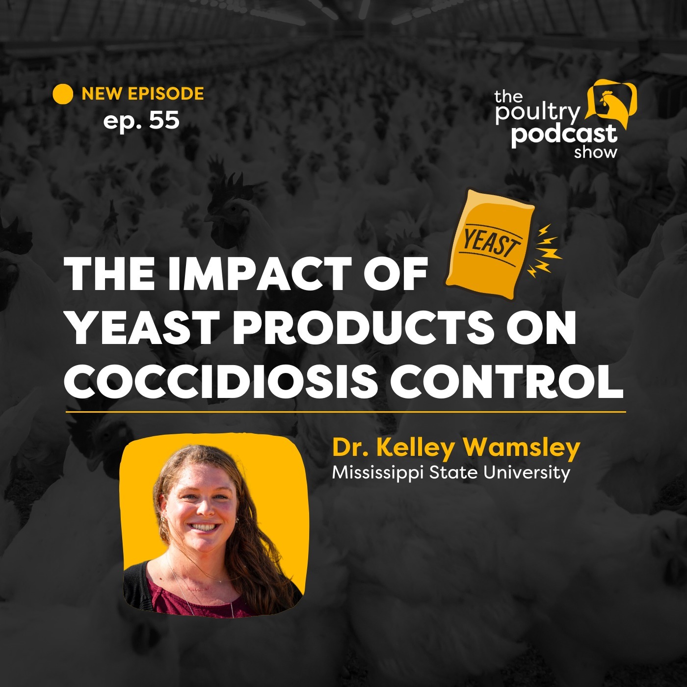 Dr. Kelley Wamsley: Yeast in Coccidiosis Control | Ep. 55