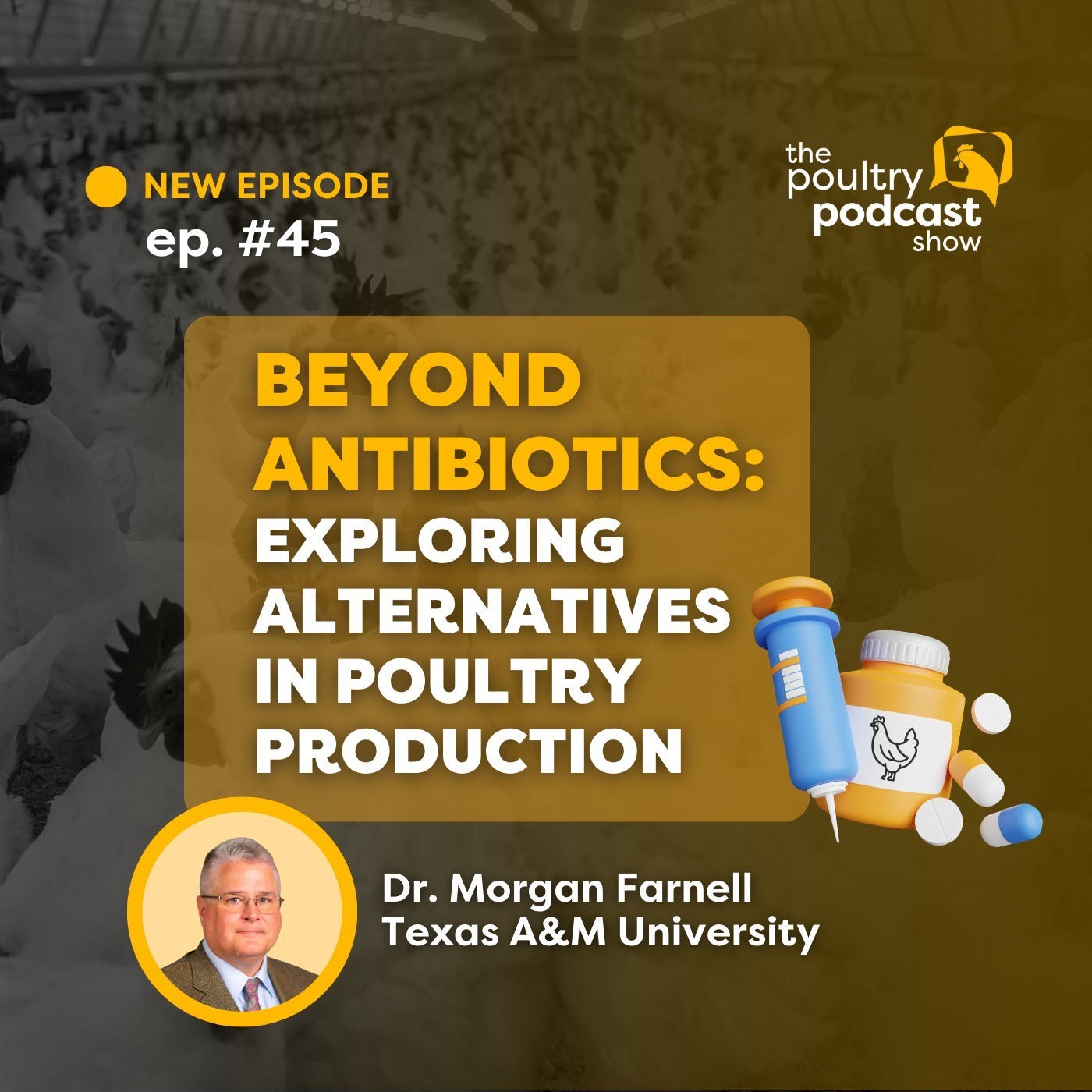 Dr. Morgan Farnell: Alternatives in Poultry Production | Ep. 45