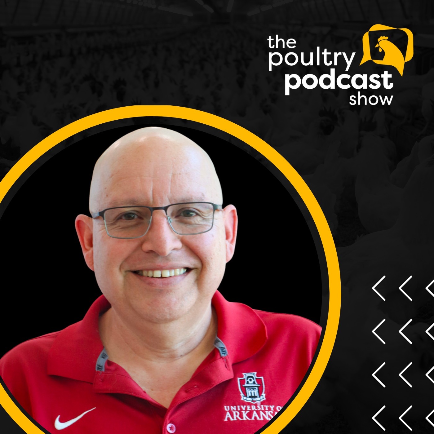 The Poultry Podcast Show