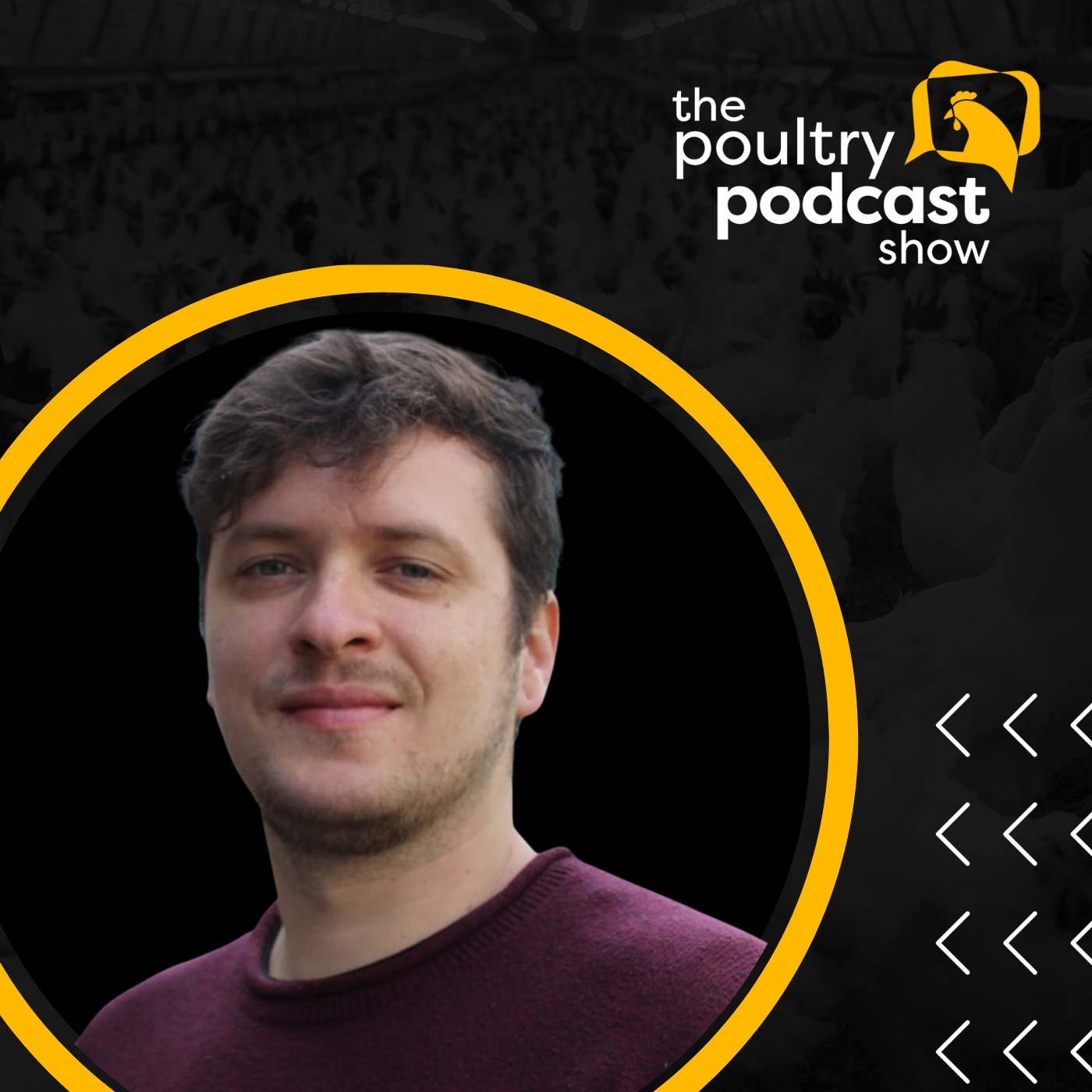 The Poultry Podcast Show