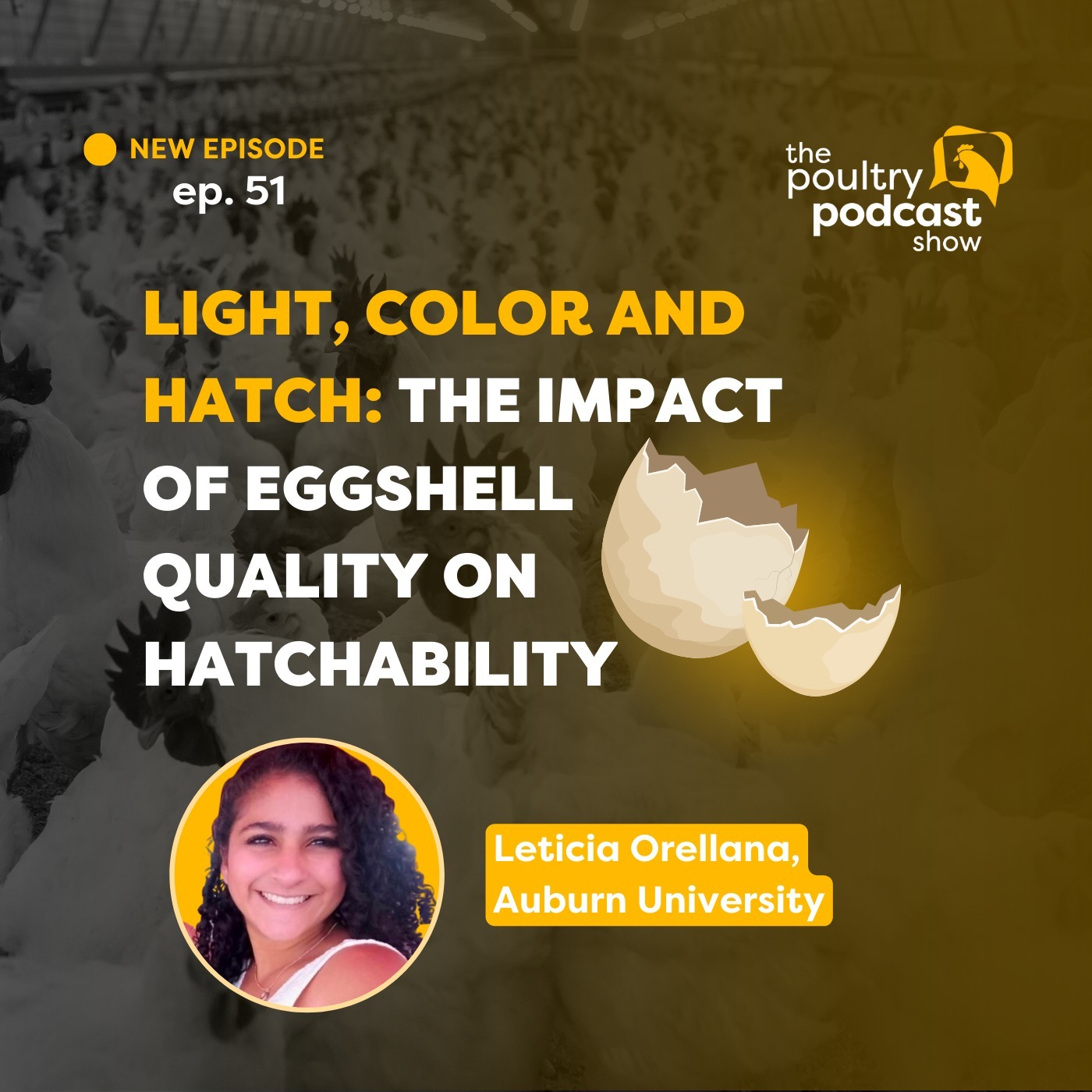 Leticia Orellana: Impact of Eggshell Quality | Ep. 51