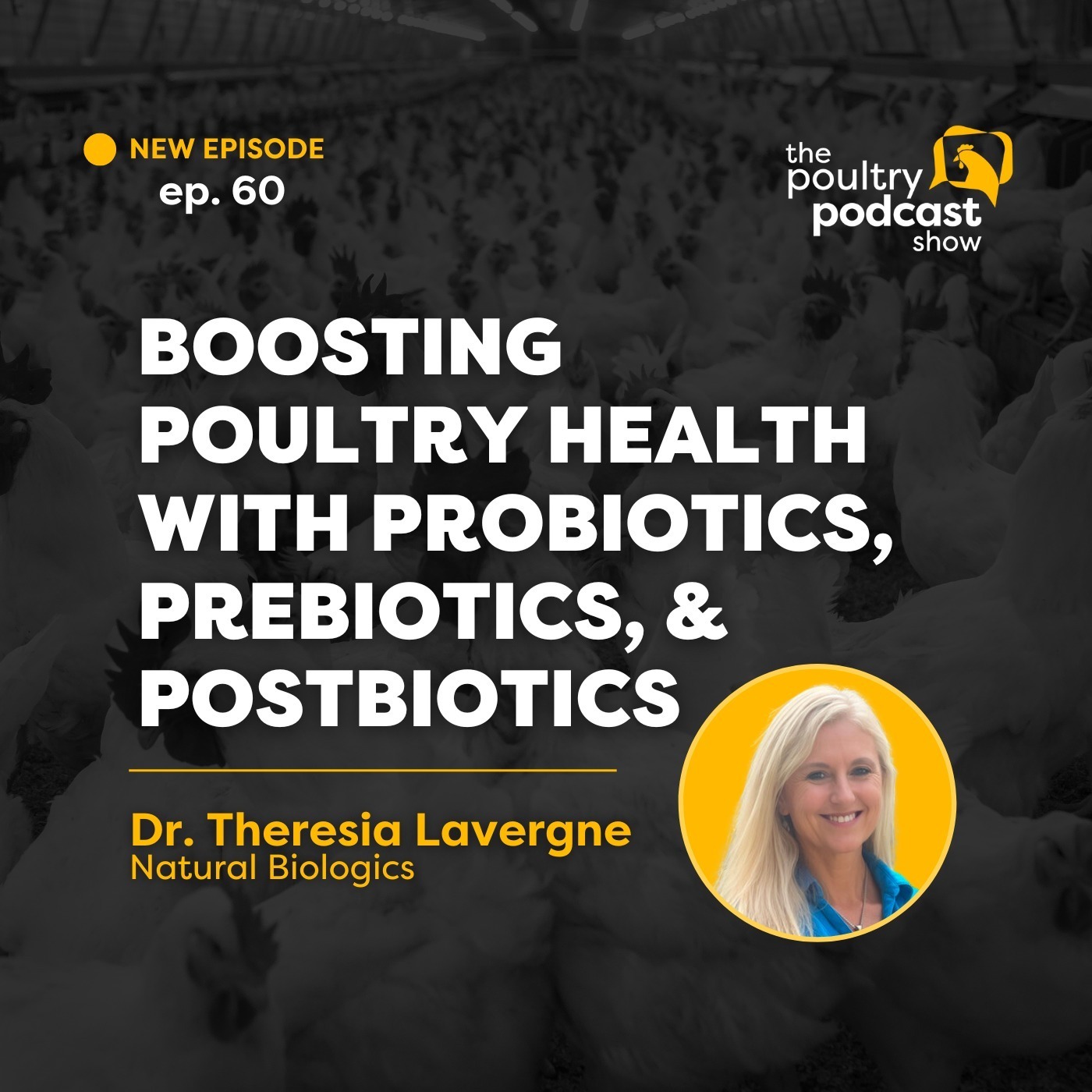Dr. Theresia Lavergne: Probiotics, Prebiotics, and Postbiotics | Ep. 60