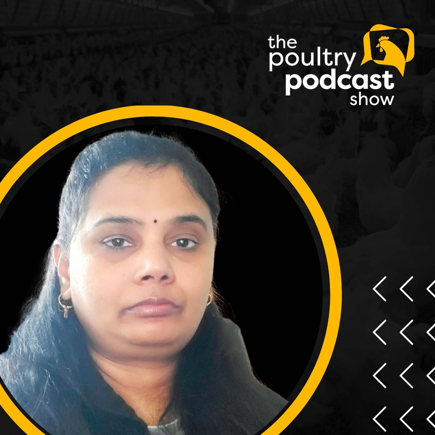 The Poultry Podcast Show