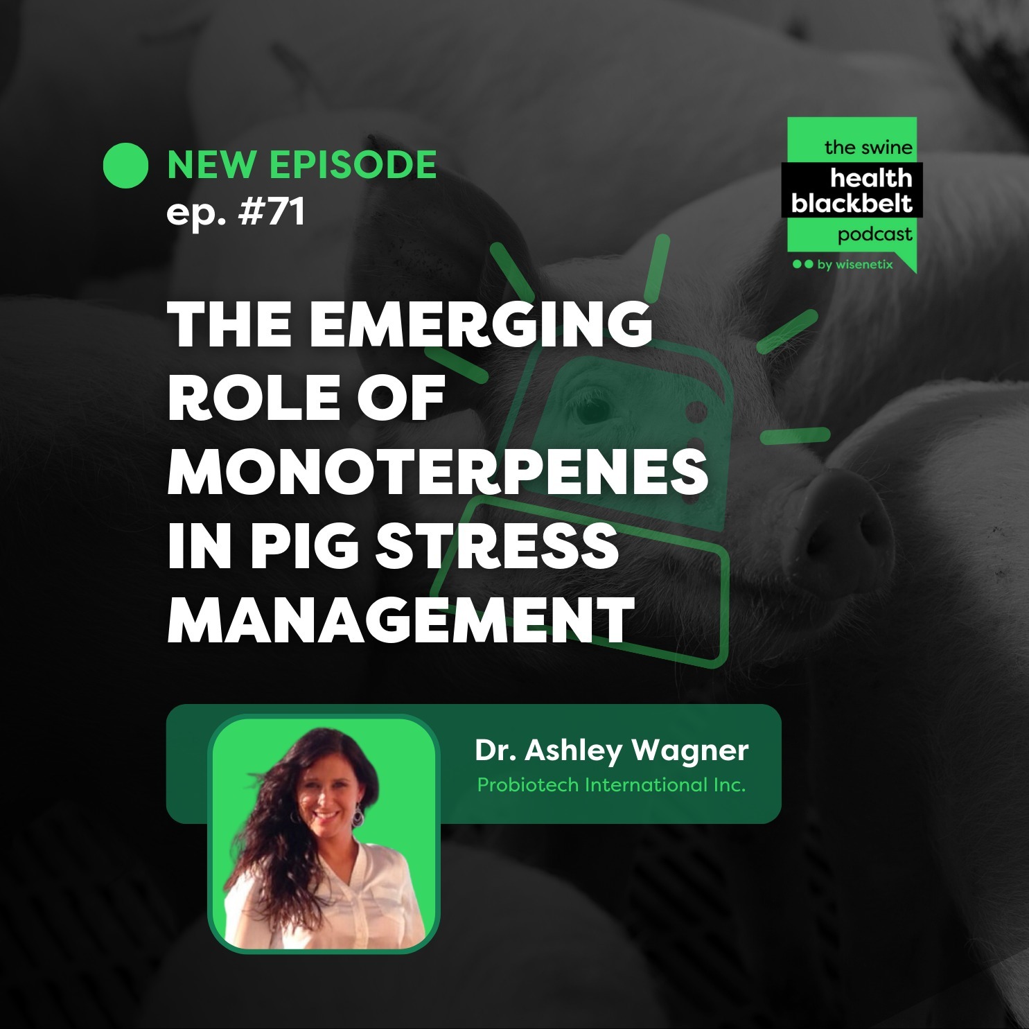 Dr. Ashley Wagner: Monoterpenes in Pig Stress | Ep. 71