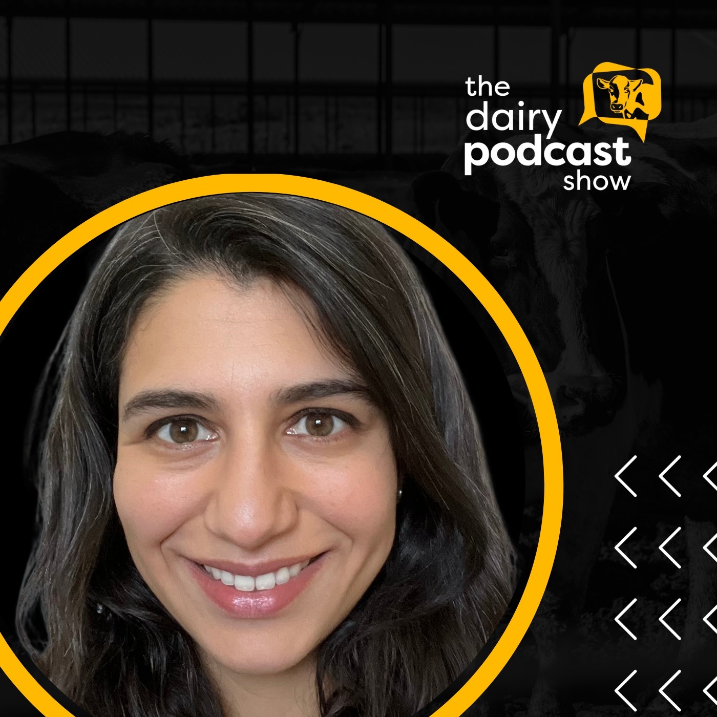 The Dairy Podcast Show