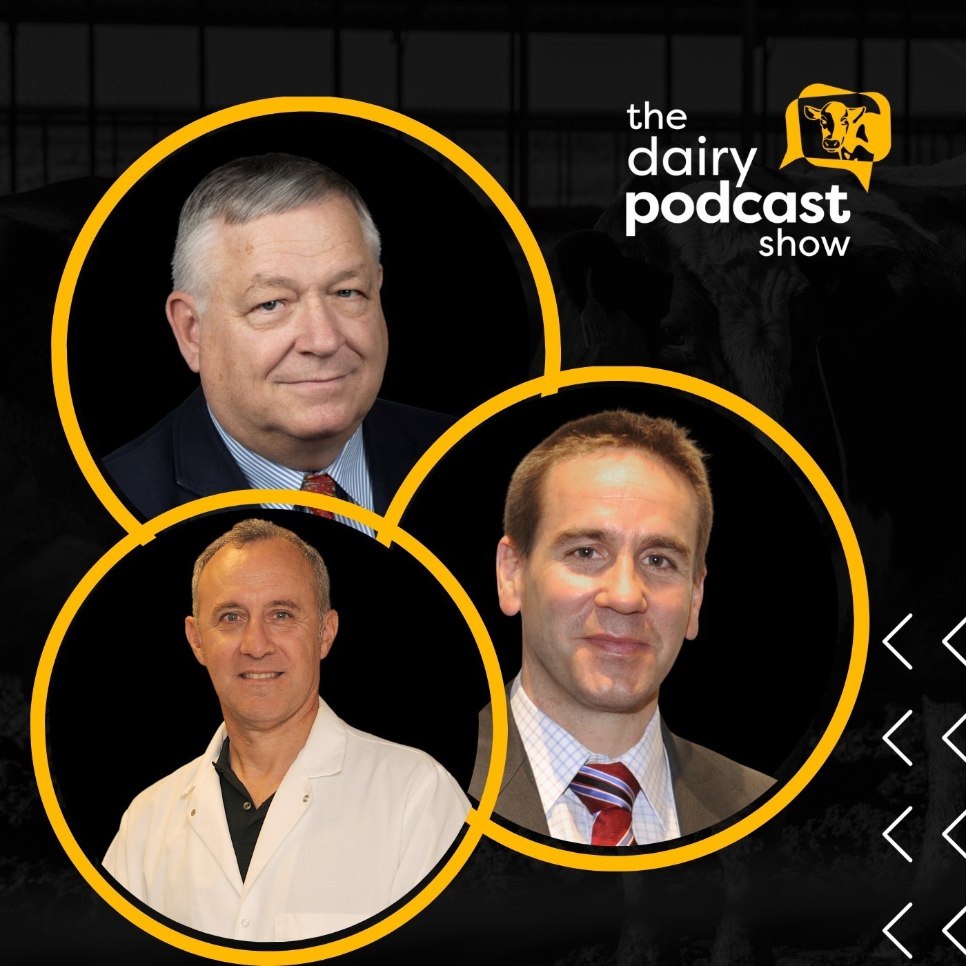 The Dairy Podcast Show