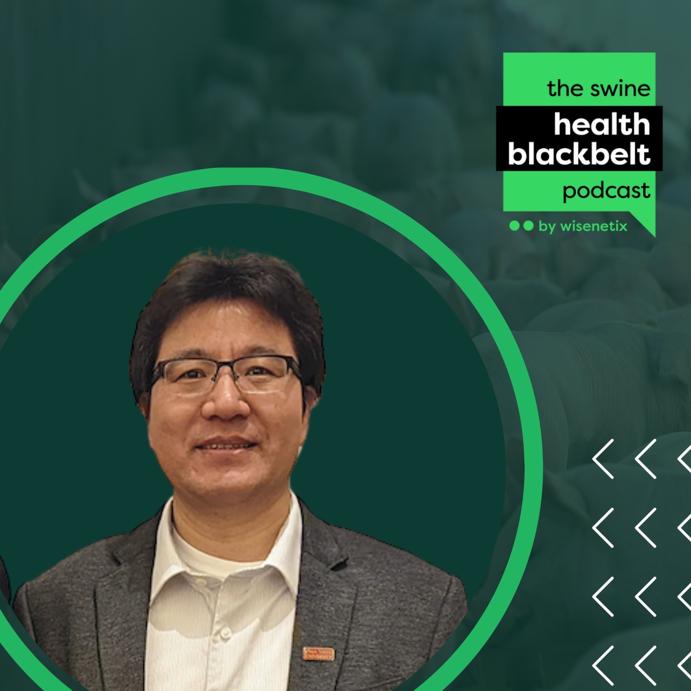 Dr. Jianqiang Zhang: PRRS Virus Isolation Part I | Ep. 40