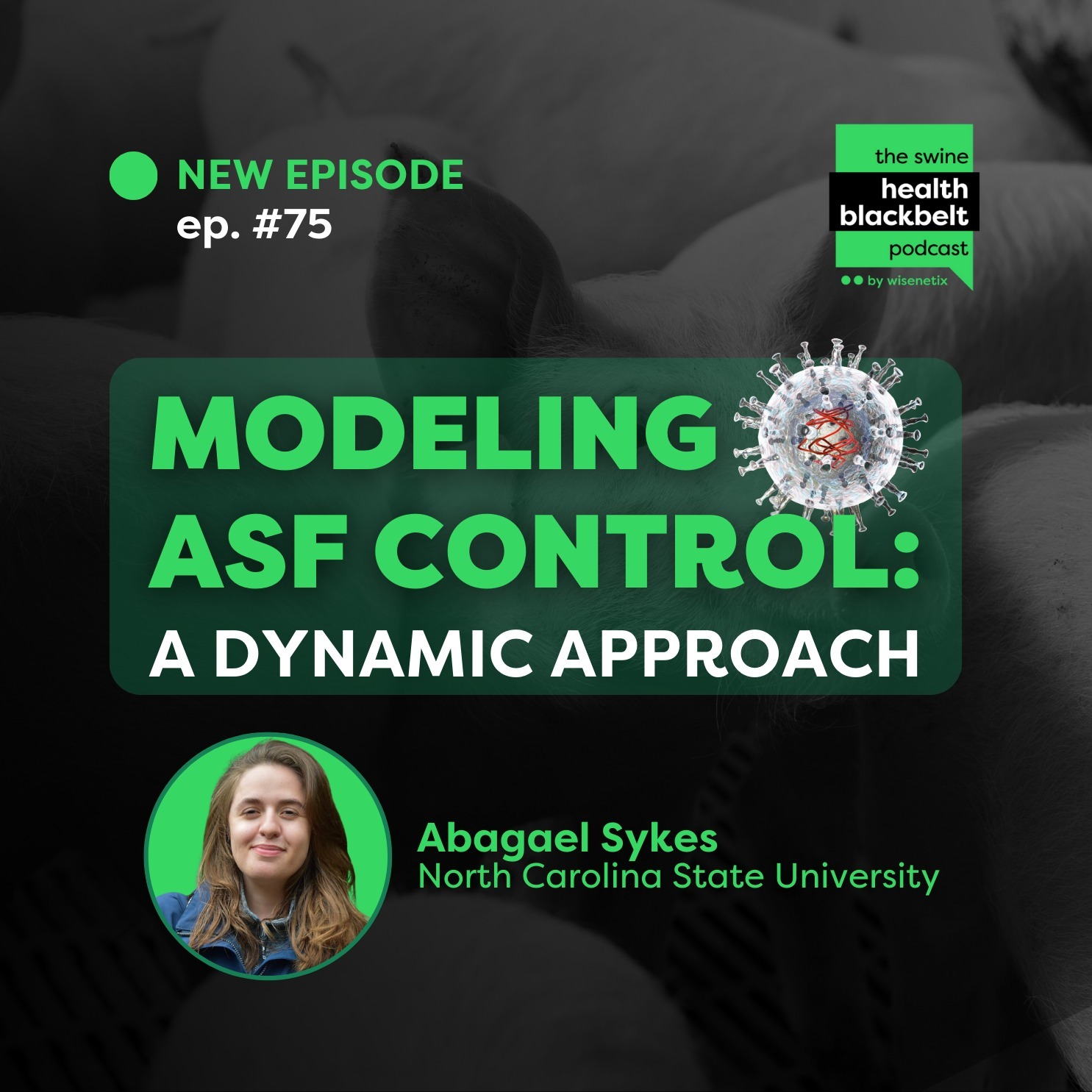 Abagael Sykes: ASF Control Modeling | Ep. 75